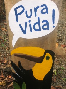 Pura Vida